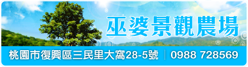 巫婆景觀