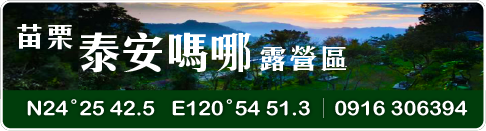 泰安嗎哪