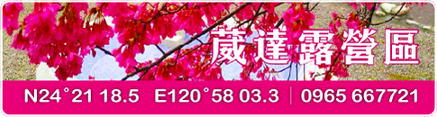 葳達