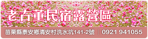 老古董民宿