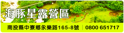 海豚星