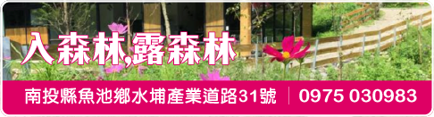 入森林
