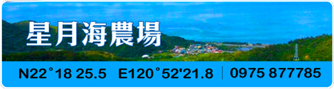 星月海